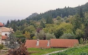 Luxury House In The Hills